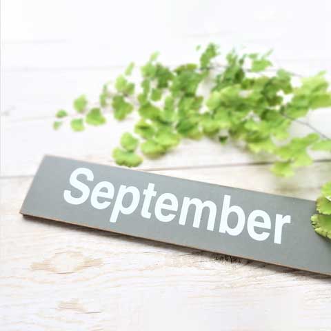 ［9月］シルバーウィークイベント