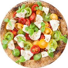 イタリアンピンサ